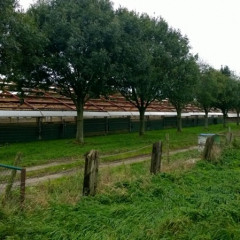 Asbestsanering Helmond 3