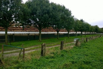 Asbestsanering in Helmond